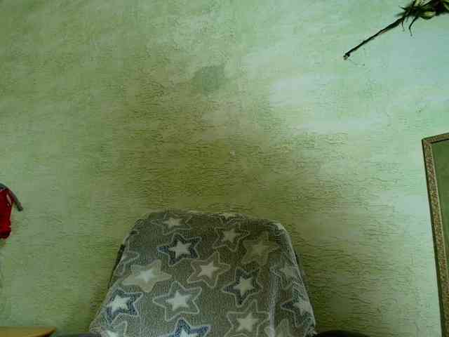 Fairy_Light webcam