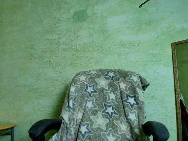 Fairy_Light webcam