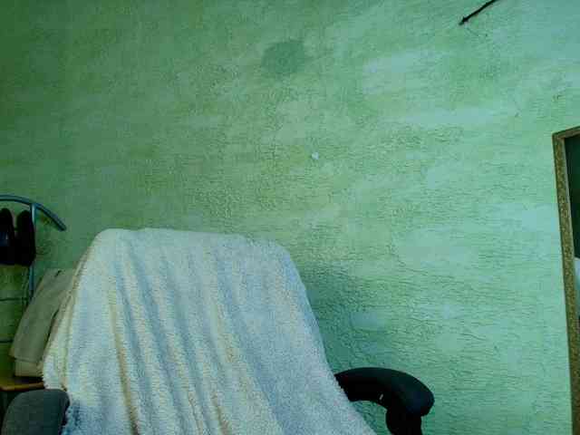 Fairy_Light webcam