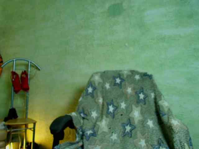 Fairy_Light webcam