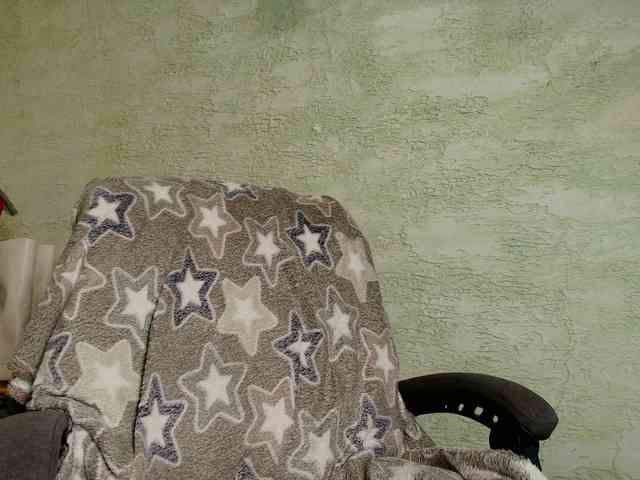 Fairy_Light webcam