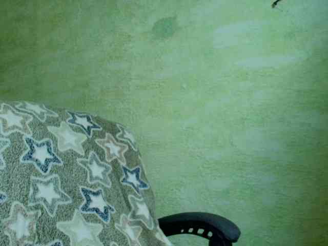 Fairy_Light webcam