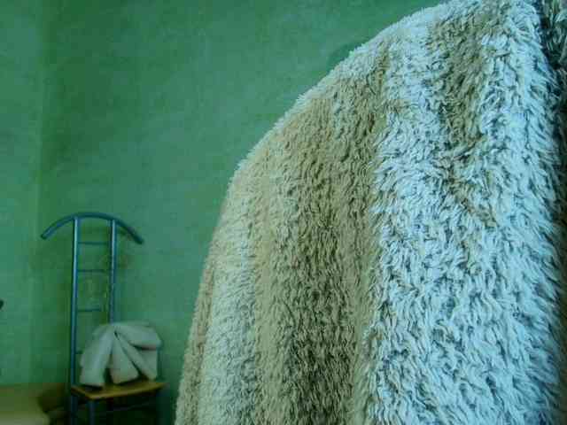 Fairy_Light webcam