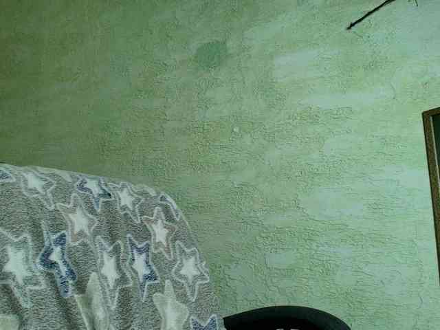 Fairy_Light webcam