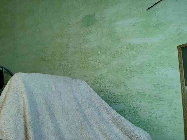 Fairy_Light webcam