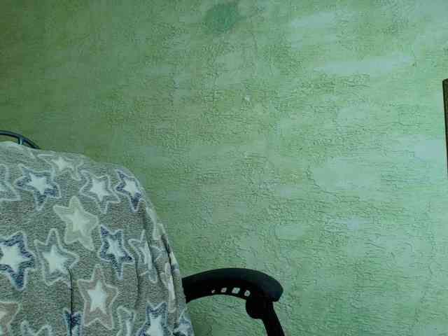 Fairy_Light webcam