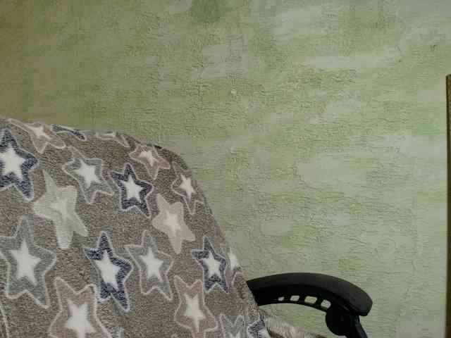 Fairy_Light webcam