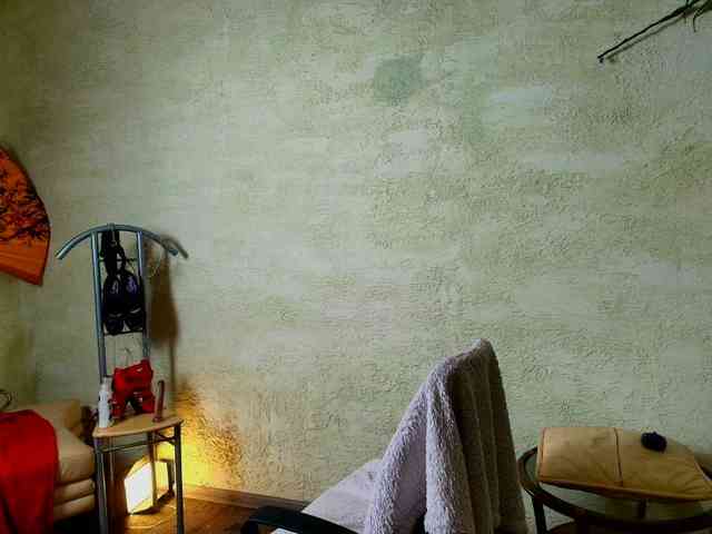 Fairy_Light webcam