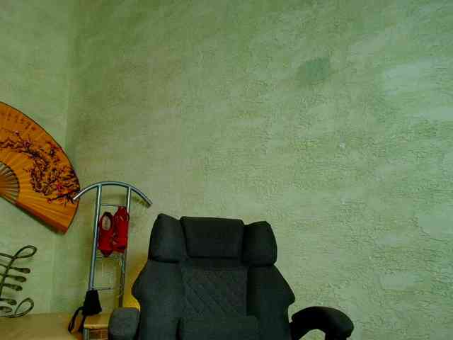 Fairy_Light webcam