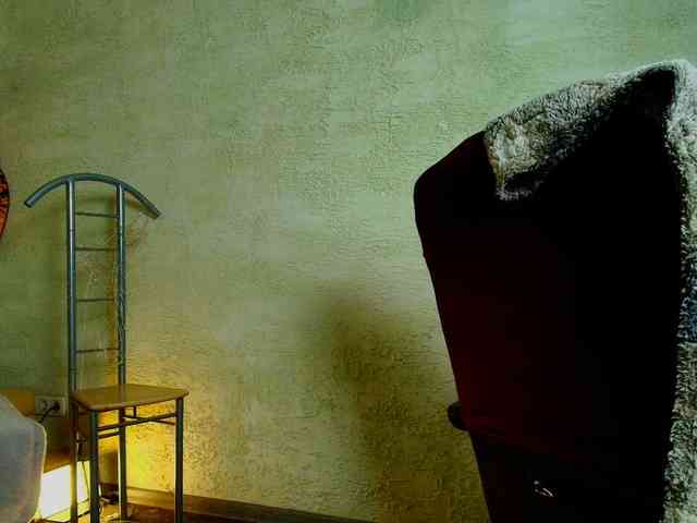 Fairy_Light webcam
