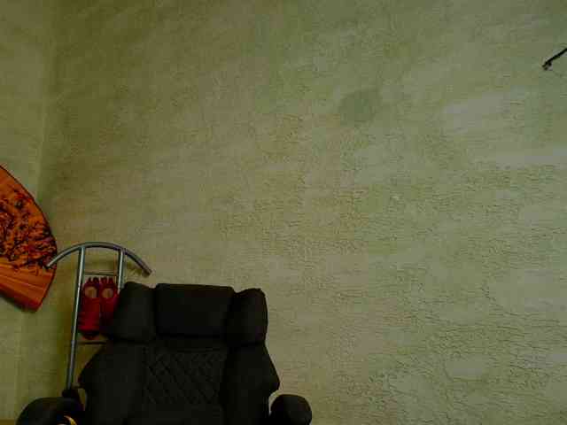 Fairy_Light webcam