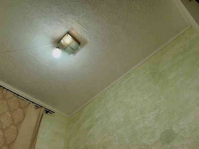 Fairy_Light webcam