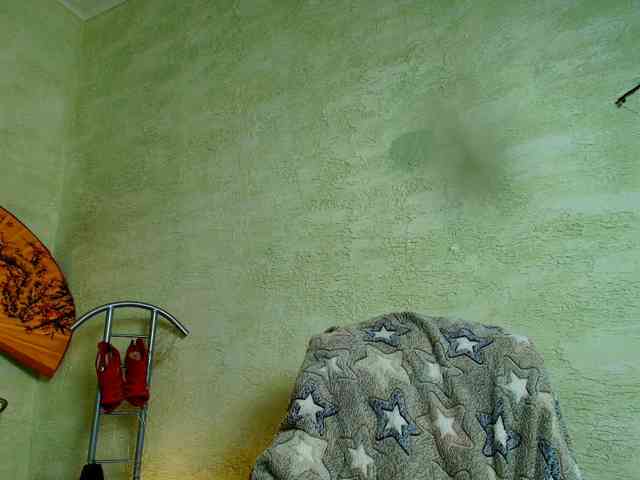 Fairy_Light webcam