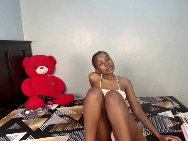 veecatch cam belle