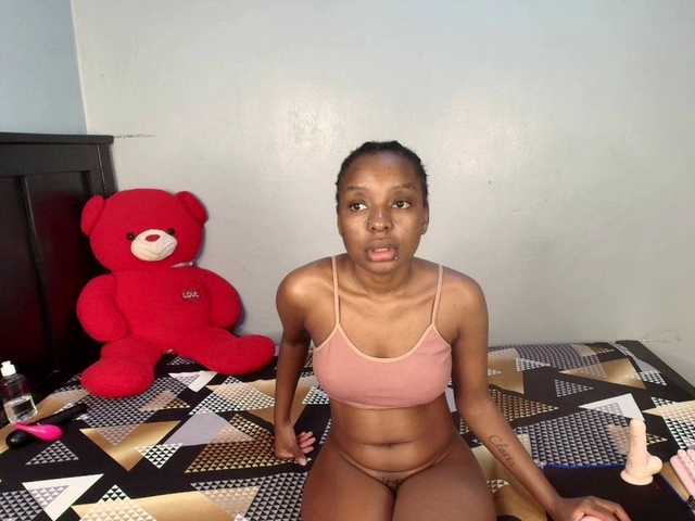 veecatch cam belle