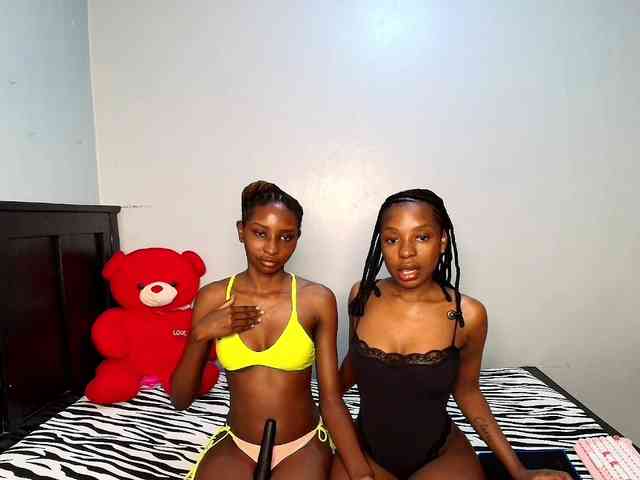 Veecatch webcam