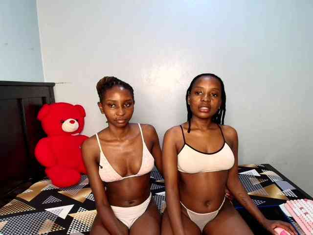 Veecatch webcam