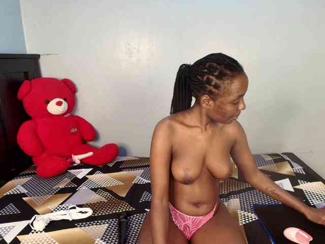 Veecatch webcam