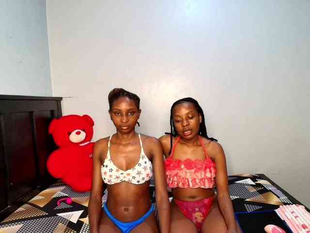 Veecatch webcam