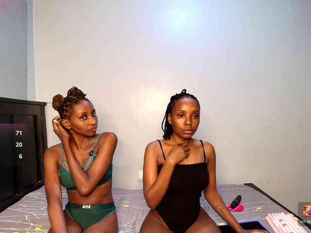Veecatch webcam