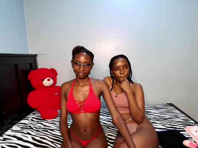 Veecatch webcam