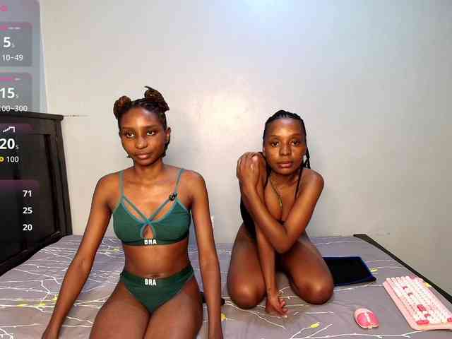 Veecatch webcam