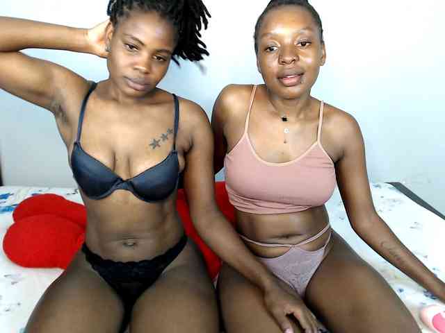 Veecatch webcam