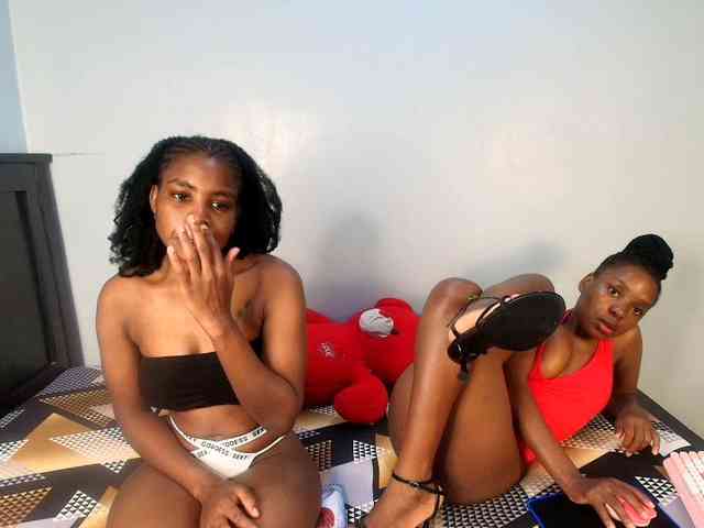 Veecatch webcam