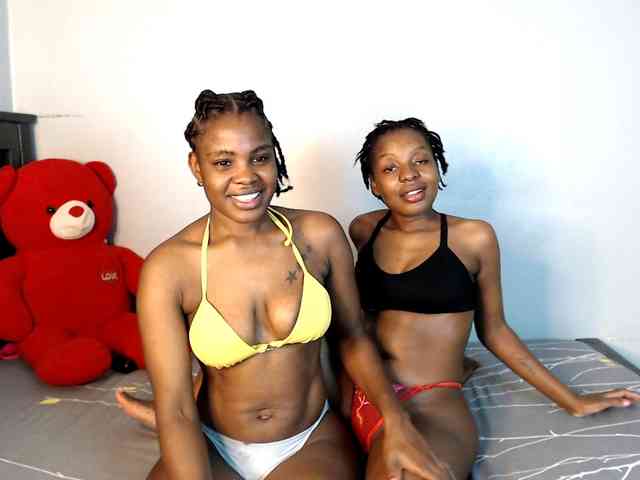 Veecatch webcam