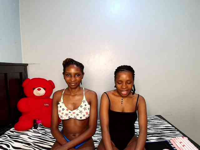Veecatch webcam