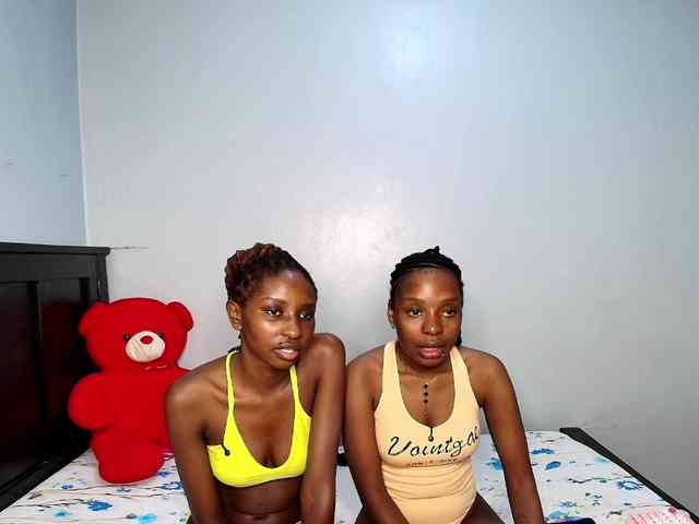 Veecatch webcam