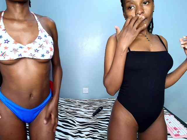 Veecatch webcam