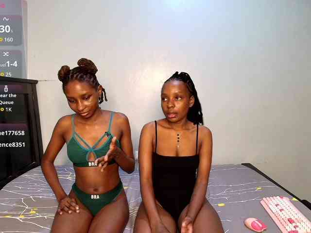 Veecatch webcam