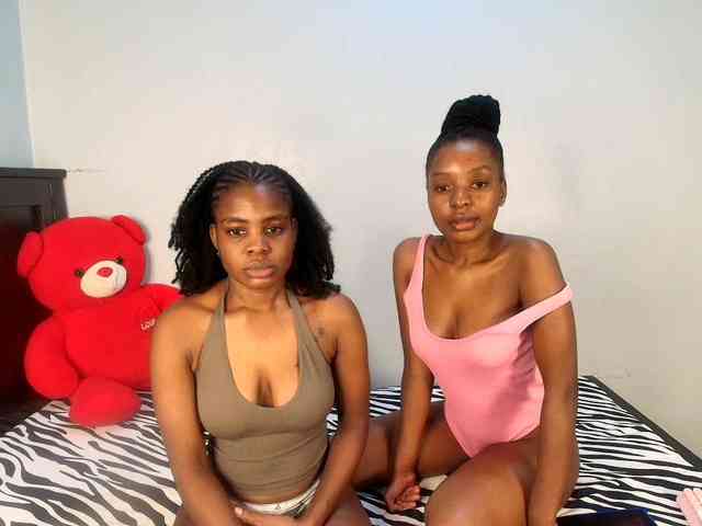 Veecatch webcam