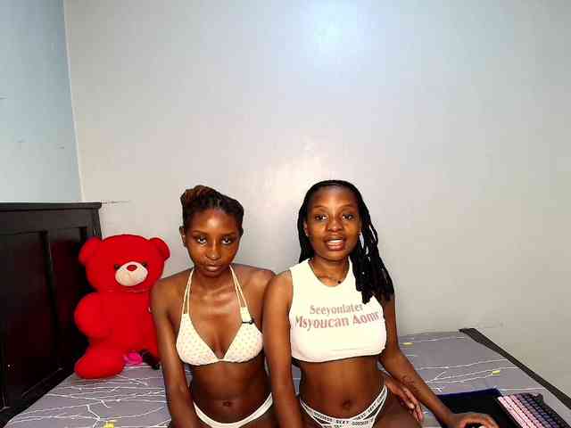 Veecatch webcam