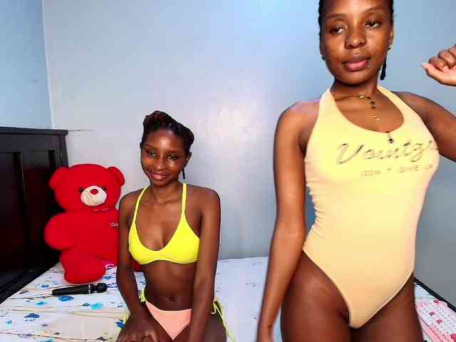 Veecatch webcam