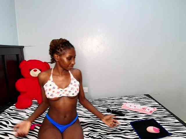 Veecatch webcam