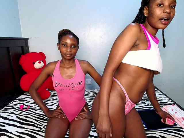 Veecatch webcam