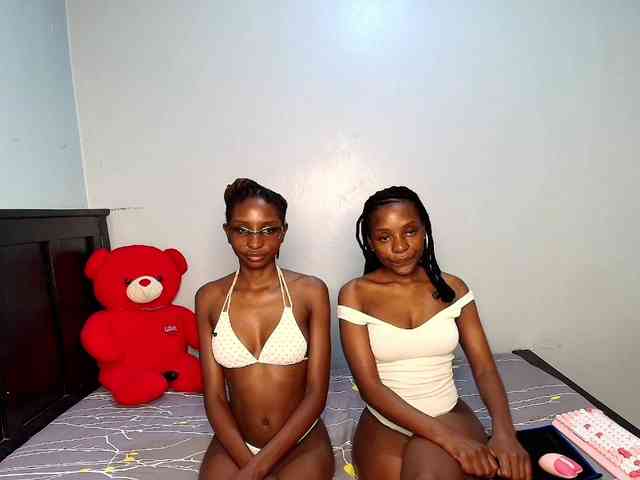 Veecatch webcam
