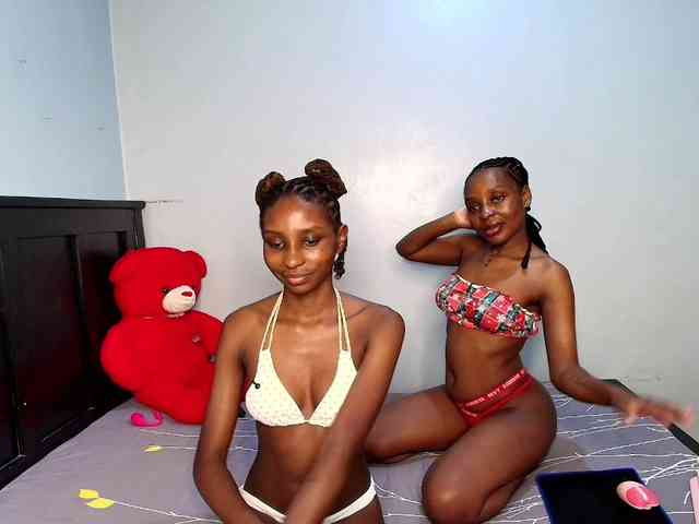 Veecatch webcam