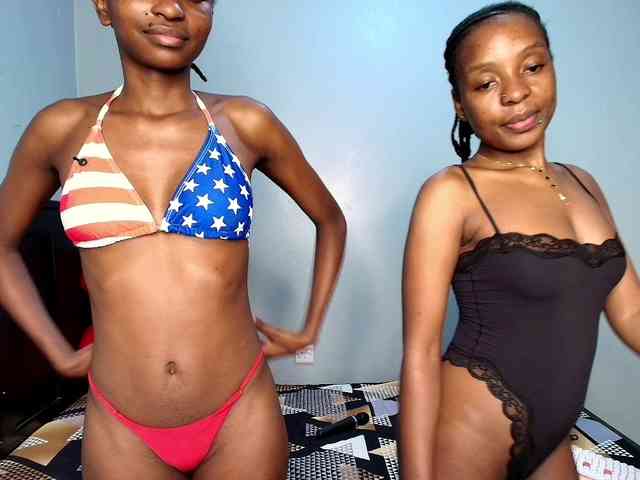 Veecatch webcam