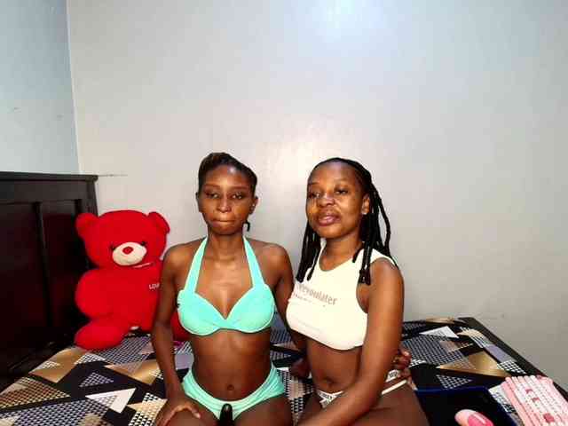 Veecatch webcam