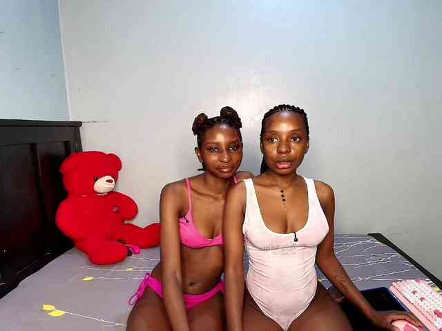 Veecatch webcam