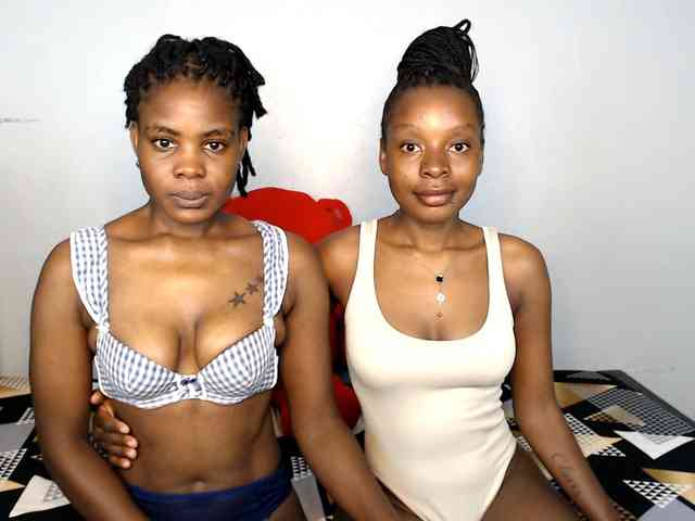 Veecatch webcam