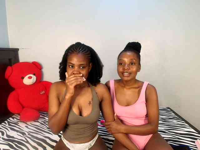 Veecatch webcam