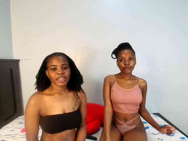 Veecatch webcam