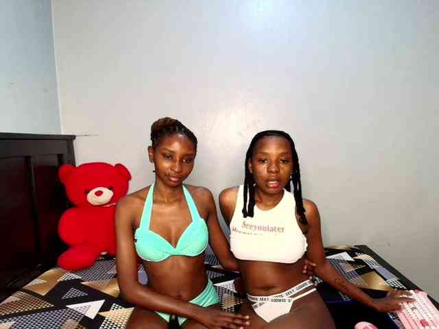 Veecatch webcam