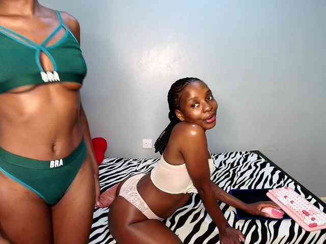 Veecatch webcam