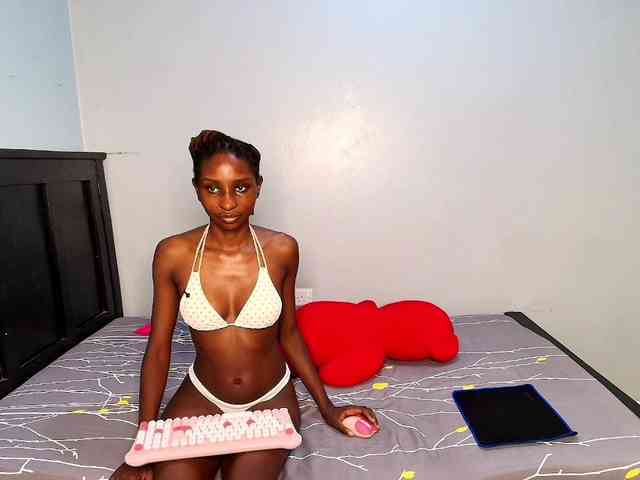 Veecatch webcam