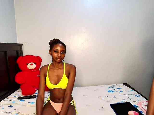 Veecatch webcam